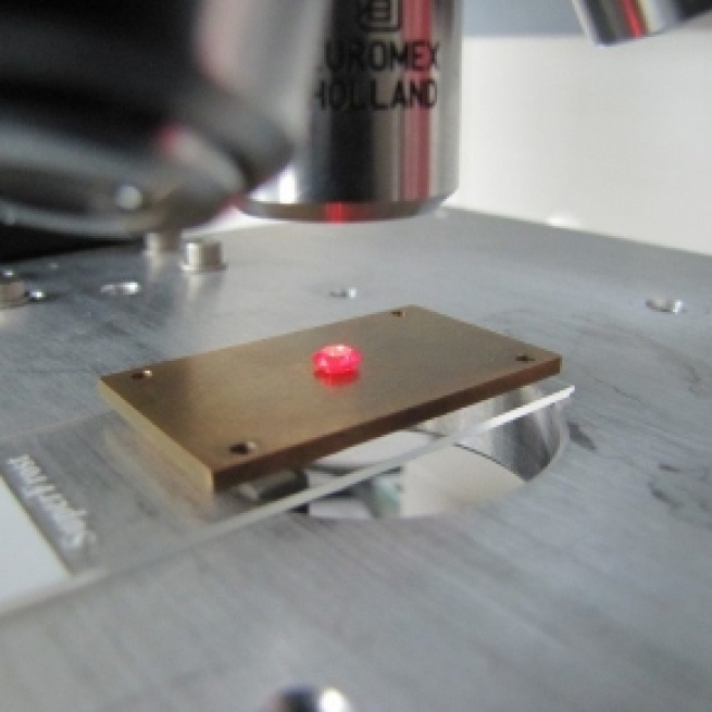 New quantum states for better quantum memories -- ScienceDaily - sciencedaily.com