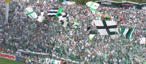 Monchengladbach vs Hoffenheim [image: upload.wikimedia.org]