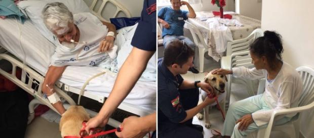 Sempre acompanhado de um oficial do Corpo de Bombeiros, Ice faz visitas semanais ao Hospital Marieta. Sempre acompanhado de um oficial do Corpo de Bombeiros, Ice faz visitas semanais ao Hospital Marieta.
