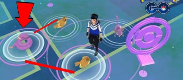Truco infalible para capturar a Ditto. Truco infalible para capturar a Ditto.
