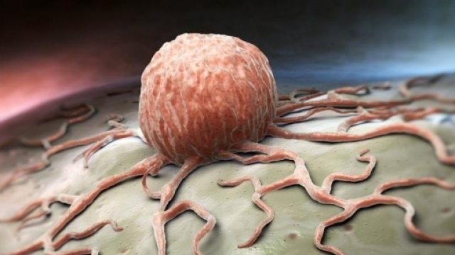 La tecnica SCED per curare il cancro