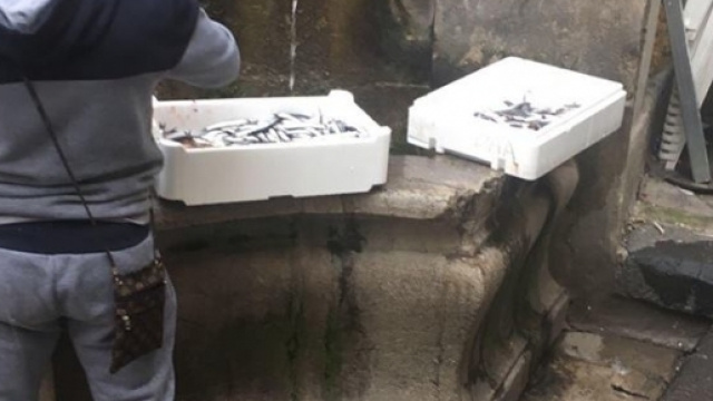 Pescivendolo che lava la propria cassetta del pesce nella Fontana del Vanvitelli.