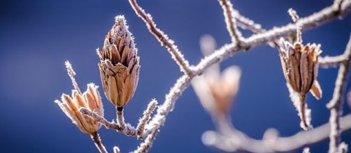 Previsioni del tempo per il mese di dicembre 2016