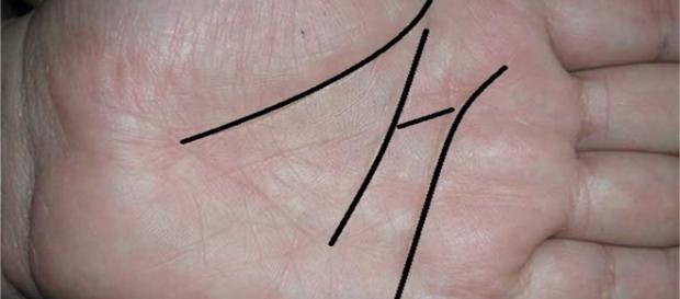 As linhas das mãos podem revelar muito sobre sua personalidade. As linhas das mãos podem revelar muito sobre sua personalidade.