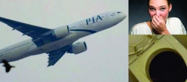Um passageiro entupiu um banheiro da aeronave Um passageiro entupiu um banheiro da aeronave