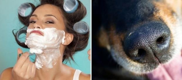 7 coisas que são completamente diferentes do que você imaginava 7 coisas que são completamente diferentes do que você imaginava