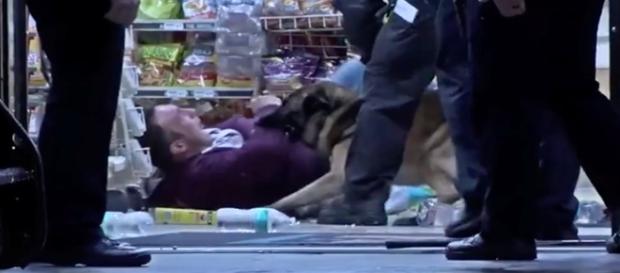 Cachorro mordeu diversas vezes o fugitivo. Cachorro mordeu diversas vezes o fugitivo.