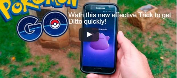 ‘Pokemon Go’: watch this new effective Trick to find Ditto quickly (Video) Wikipedia Photos. ‘Pokemon Go’: watch this new effective Trick to find Ditto quickly (Video) Wikipedia Photos.