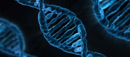 Nuove scoperte sul DNA - un.org