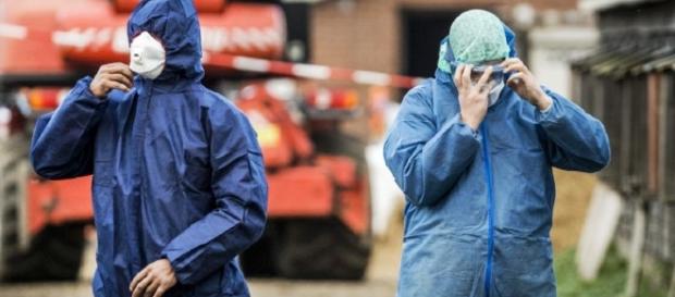 DSVSA a confirmat prezența gripei aviare de tip H5N8 în România DSVSA a confirmat prezența gripei aviare de tip H5N8 în România