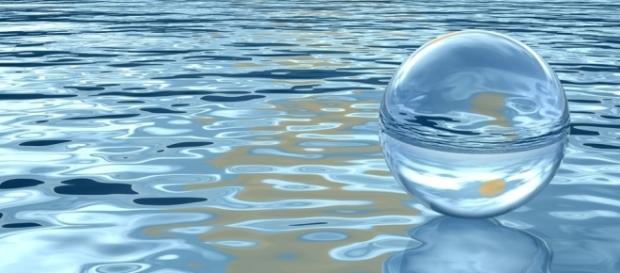 El agua es crucial para las células desde varios puntos de vista El agua es crucial para las células desde varios puntos de vista