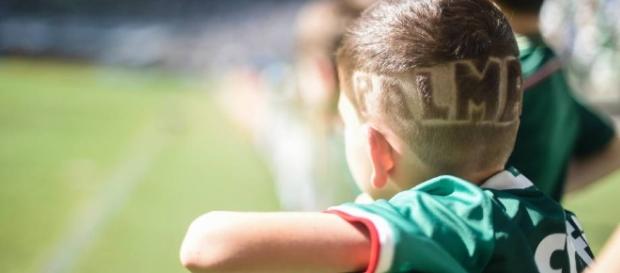 O garotinho vê o Palmeiras campeão brasileiro pela primeira vez em sua vida O garotinho vê o Palmeiras campeão brasileiro pela primeira vez em sua vida
