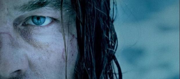 The Revenant out on DVD - telegraph.co.uk The Revenant out on DVD - telegraph.co.uk