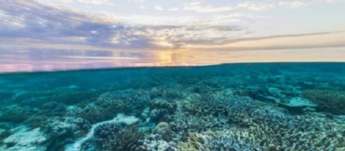 Morto circa il 67% della Grande Barriera Corallina in Australia