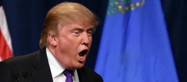 A Primatologist Explains the Gentler Donald Trump -- Science of Us - nymag.com A Primatologist Explains the Gentler Donald Trump -- Science of Us - nymag.com