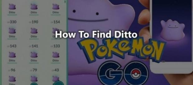 Pokemon Go. Como encontrar a Ditto Pokemon Go. Como encontrar a Ditto