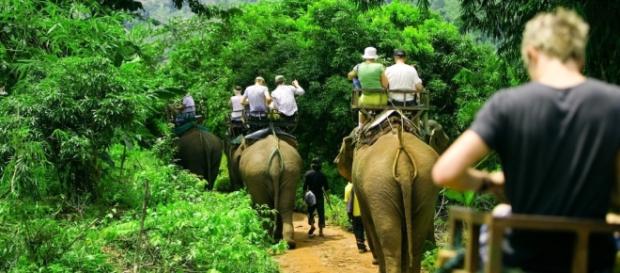 Viaja a Tailandia - Tailandia y Mujeres Jirafa - travelda.es Viaja a Tailandia - Tailandia y Mujeres Jirafa - travelda.es
