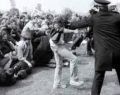 Should an inquiry be reopened on the 'battle of Orgreave'