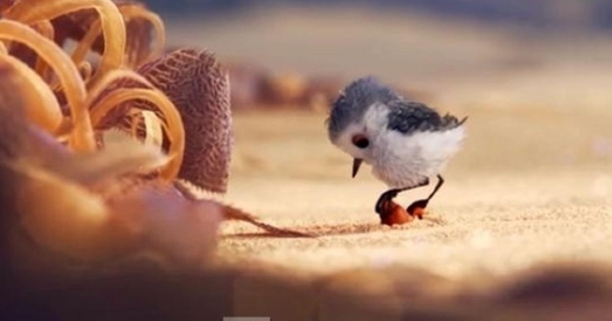 Pixar's Disney 'Piper' short streaming on Vimeo - a superb 