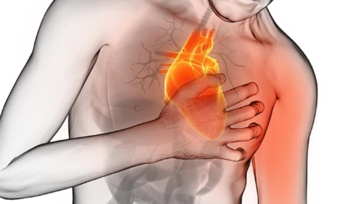 Infarto Perché Arrabbiarsi Raddoppia Il Rischio I