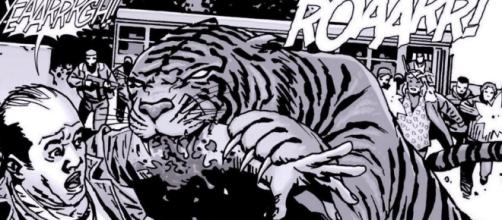 The Walking Dead Season 7: Ezekiel's Tiger May Be Part Animatronic ... - croogles.com