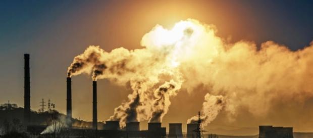 Aquecimento global é responsável pelo descongelamento de vírus e bactérias. Aquecimento global é responsável pelo descongelamento de vírus e bactérias.
