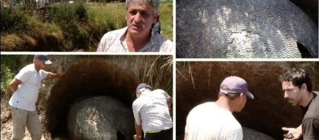 O objeto estranho encontrado no quintal de uma casa no Uruguai, mais parecia ser um 'ovo de E.T.' O objeto estranho encontrado no quintal de uma casa no Uruguai, mais parecia ser um 'ovo de E.T.'