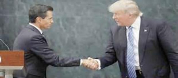 Dos tristes tigres que conmocionan Dos tristes tigres que conmocionan