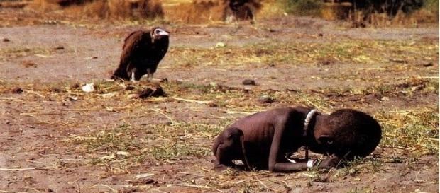 'O abutre e a garotinha', foto verídica de Kevin Carter 'O abutre e a garotinha', foto verídica de Kevin Carter