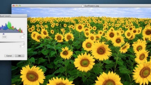 Acorn, gratis il manuale del completo software di disegno e ... - macitynet.it