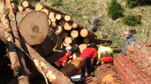 Calabria: operaio gravissimo dopo che un albero lo ha schiacciato (foto quicosenza.it)