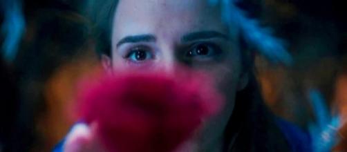 New Images From Disney's Live-Action 'Beauty And The Beast' Give ... - inquisitr.com