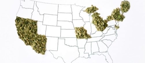 Ecco la cartina degli Stati Usa che potrebbero legalizzare la cannabis l'8 novembre