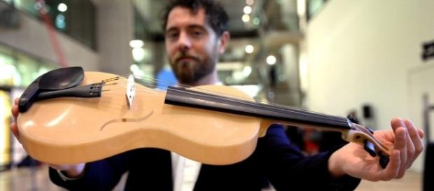 Luca Alessandrini inventa violino con seta di ragno: premiato a Londra Luca Alessandrini inventa violino con seta di ragno: premiato a Londra