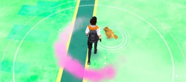 ‘Pokemon Go:’ new Pokemon to replace Rattata, Pidgey & Zauba revealed. Wikipedia Photos ‘Pokemon Go:’ new Pokemon to replace Rattata, Pidgey & Zauba revealed. Wikipedia Photos