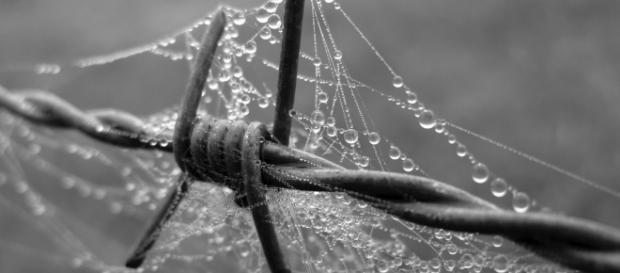 Schmerz | Glaube und Wissenschaft - wordpress.com Schmerz | Glaube und Wissenschaft - wordpress.com