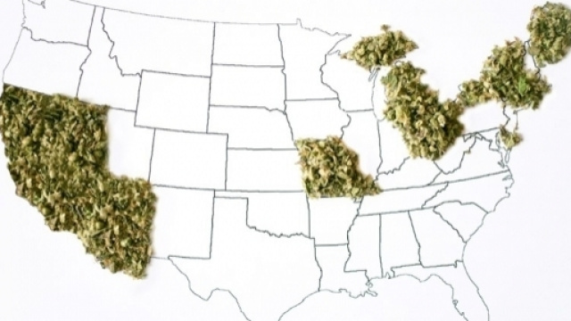 Ecco la cartina degli Stati Usa che potrebbero legalizzare la cannabis l'8 novembre