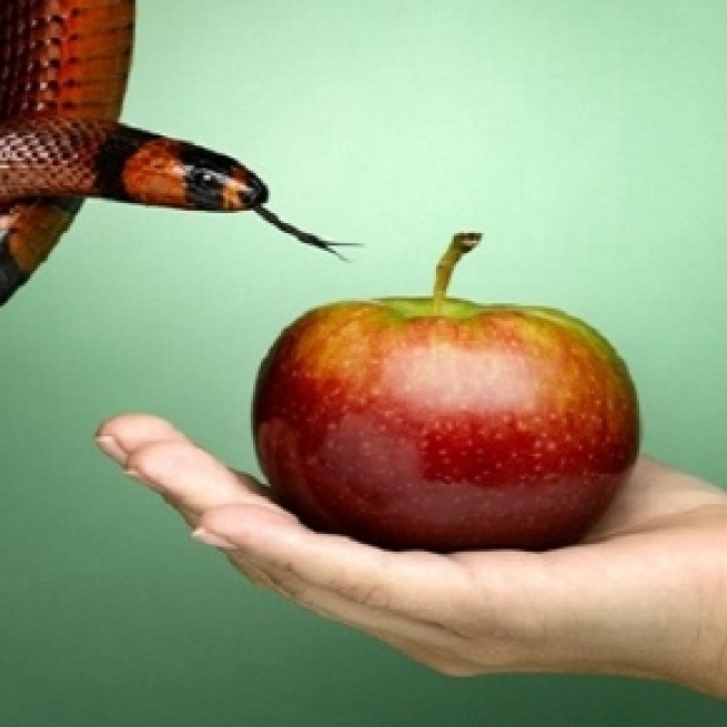 9 fatos curiosos sobre os infiéis.