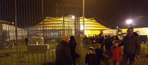 Italian fans flock to Circo Moira Orfei to see the tigers on Thomas Chipperfield's first night
