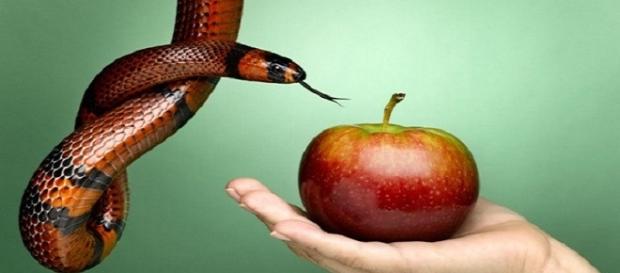 9 fatos curiosos sobre os infiéis. 9 fatos curiosos sobre os infiéis.