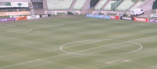 Gramado do Allianz Parque continua com problemas no seu visual Gramado do Allianz Parque continua com problemas no seu visual