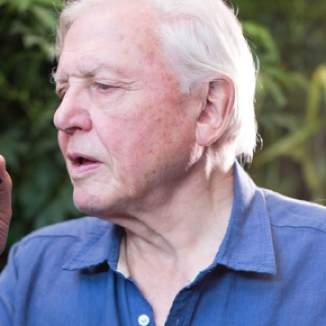 Sir David Attenborough- Back Again