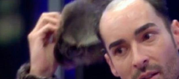GH17: Miguel se quita el peluquín delante de toda la casa, revelando su secreto GH17: Miguel se quita el peluquín delante de toda la casa, revelando su secreto