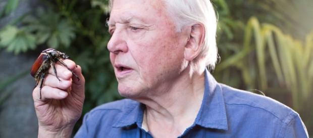 Sir David Attenborough- Back Again Sir David Attenborough- Back Again
