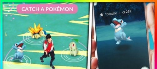 Pokémon GO: Ditto e la seconda generazione scovati nel codice di gioco - nintendon.it