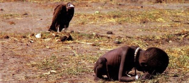 Imagem de criança desnutrida sendo observado por abutre Imagem de criança desnutrida sendo observado por abutre