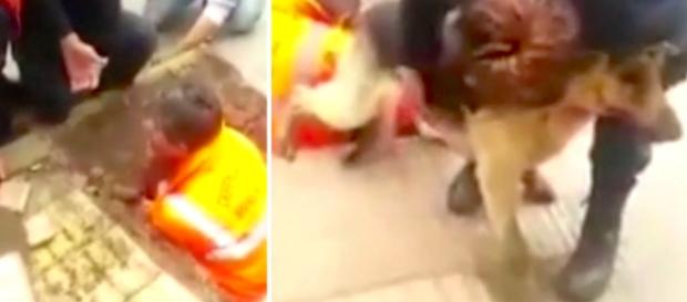 Men Find A Dog Trapped In A Tiny Sewer For 4 Days, So They Break ... - littlethings.com Men Find A Dog Trapped In A Tiny Sewer For 4 Days, So They Break ... - littlethings.com