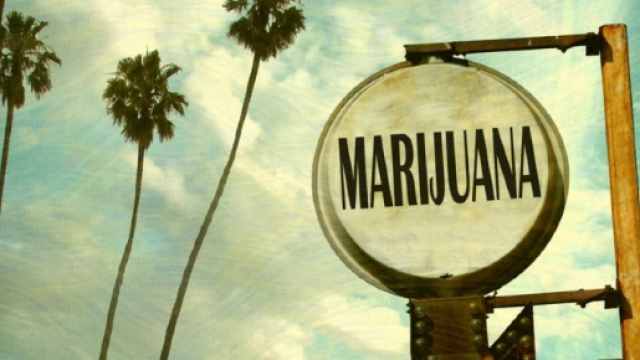 In California promossa legalizzazione della cannabis per uso ricreativo - lafogliamagazine.it