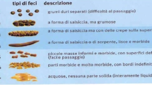 Sapere interpretare le proprie feci aiuta la salute!