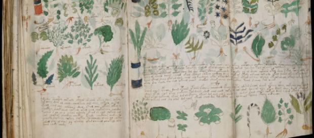 Le manuscrit le plus mystérieux du monde sera publié en 2017 ... - dailygeekshow.com Le manuscrit le plus mystérieux du monde sera publié en 2017 ... - dailygeekshow.com